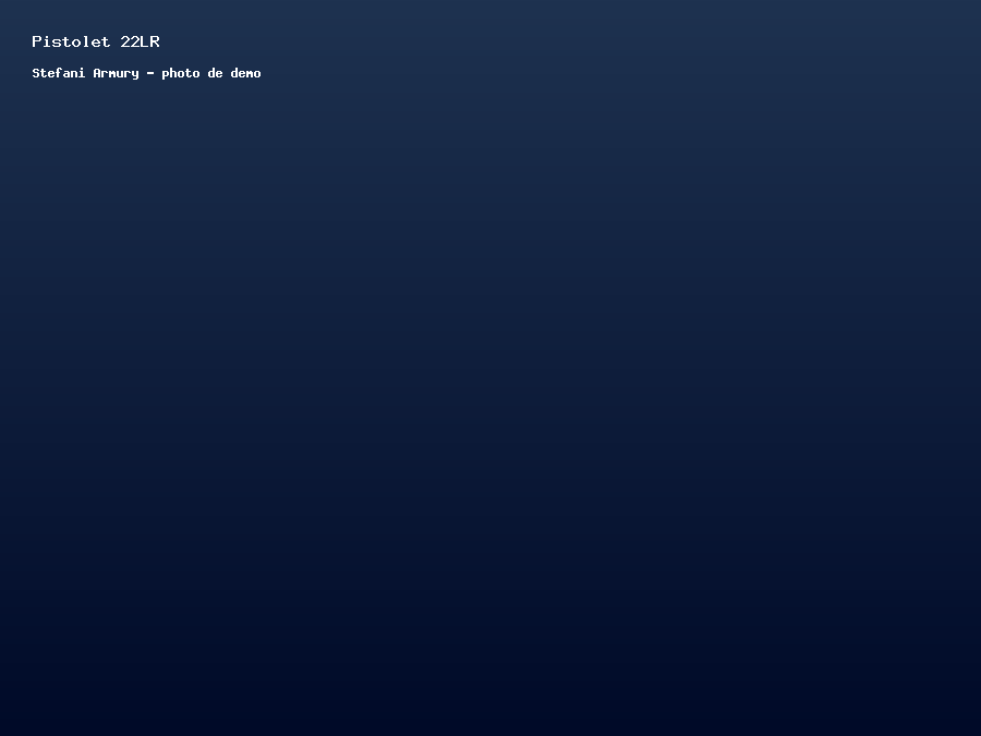 Pistolet semi-auto .22LR